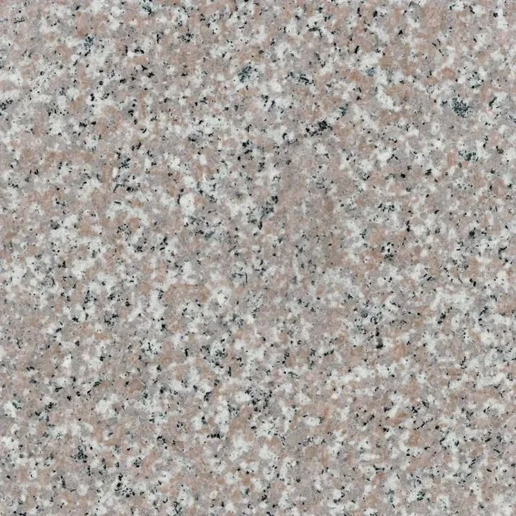 Close view of polished Pacific Coral memorial granite