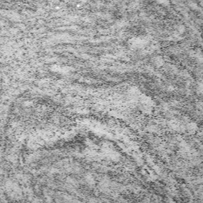 Close view of polished Silver Cloud memorial granite